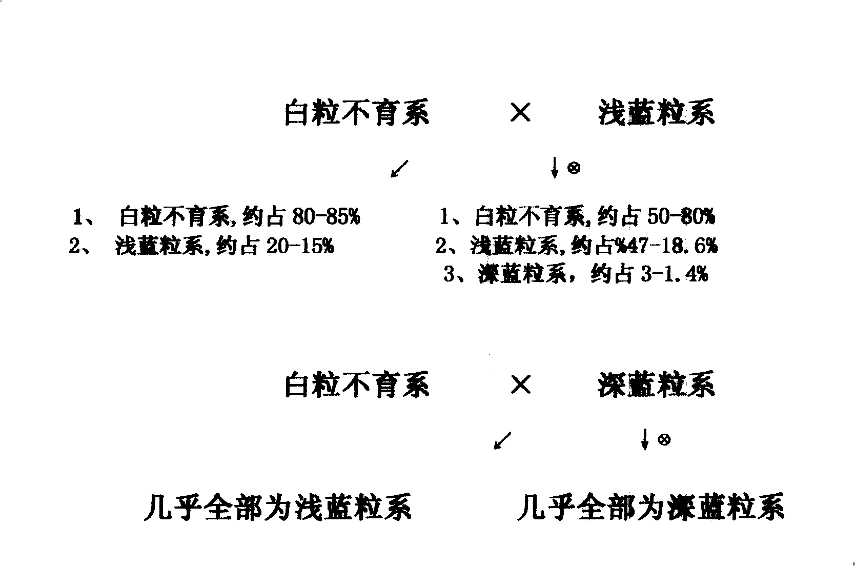 Cultivation method for wheat hybridization with nuclear male sterility