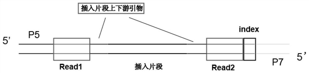 Aptamer screening method