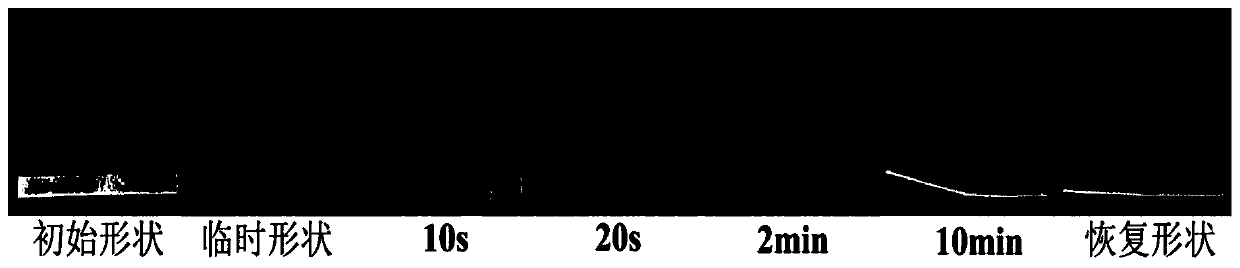 A kind of plant fiber composite wire material with shape memory function and preparation method thereof for 3D printing