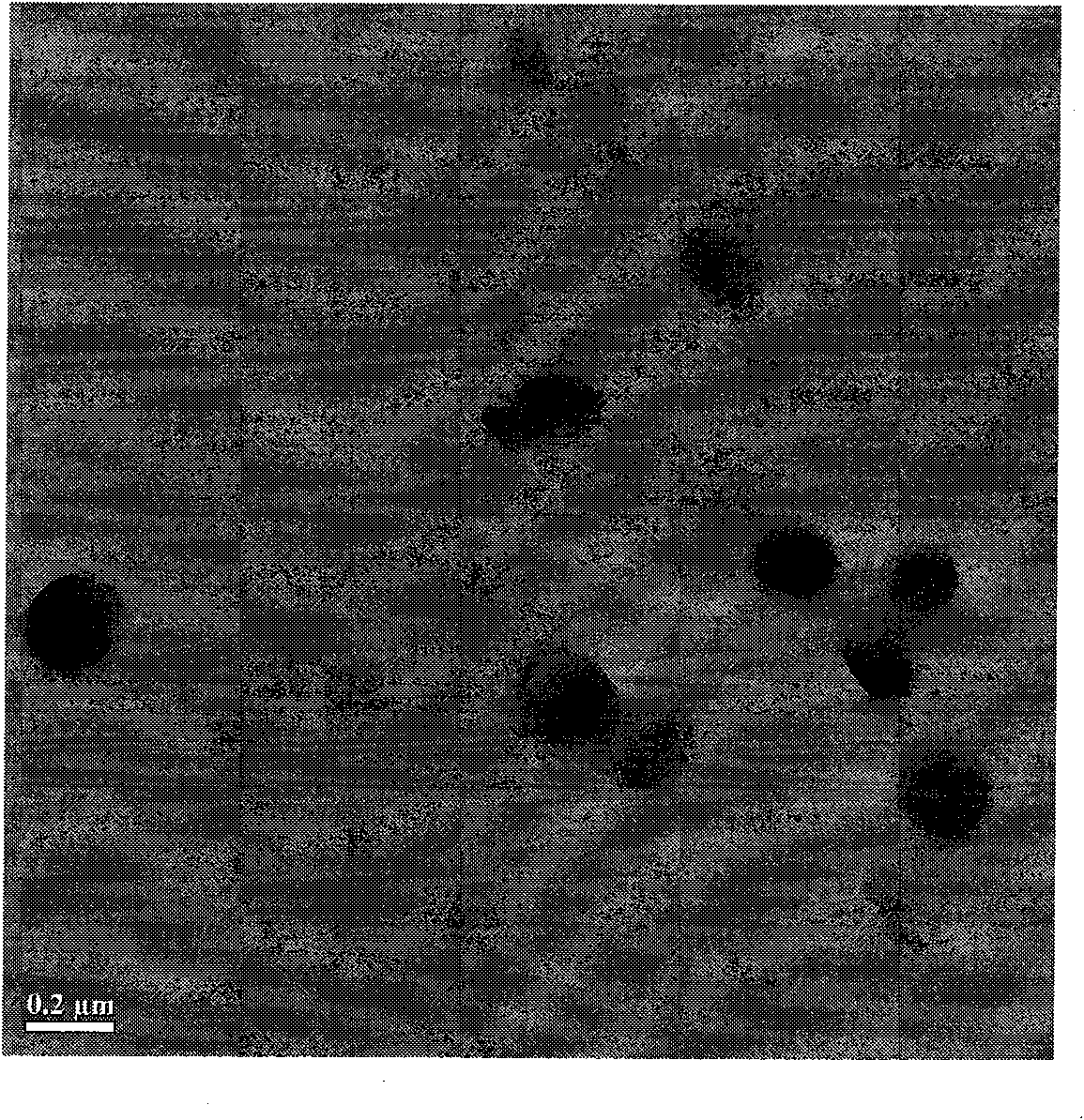 Strychnos alkaloid vesicle and preparation method thereof