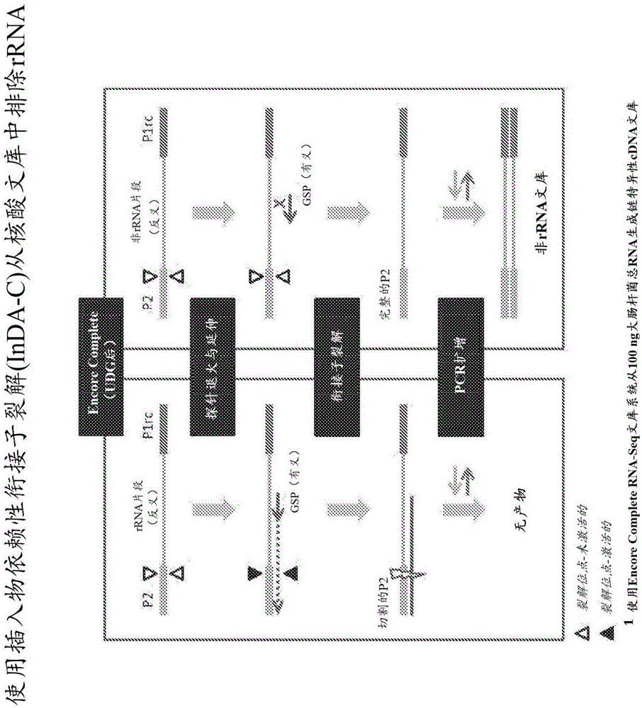 Compositions and methods for negative selection of non-desired nucleic acid sequences