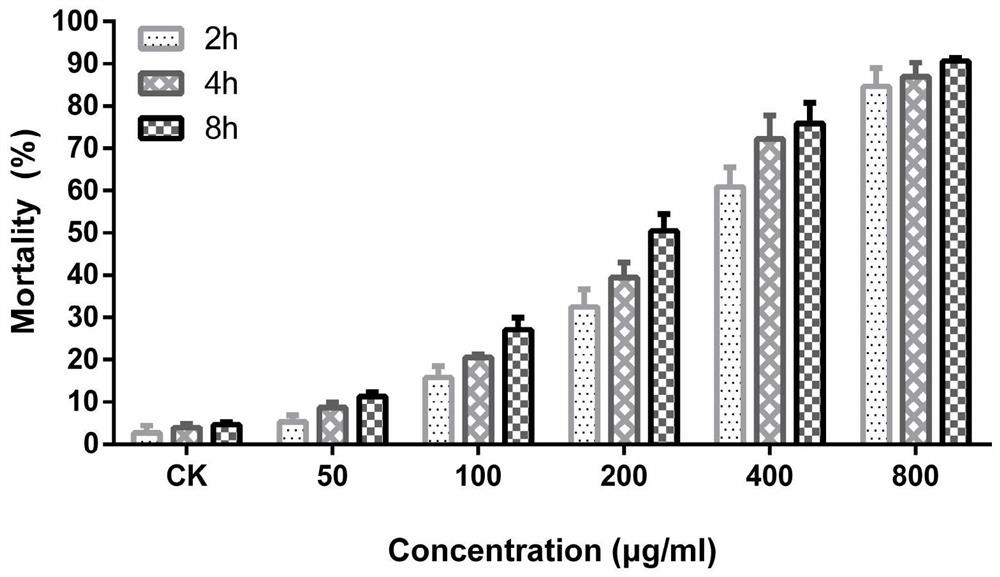 Insecticidal genes of the Pseudoannulata spider b family and their encoded mature peptides and their applications