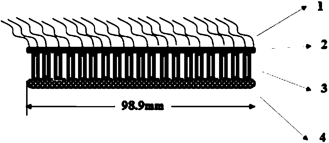 Novel bionic composite sound absorption structure