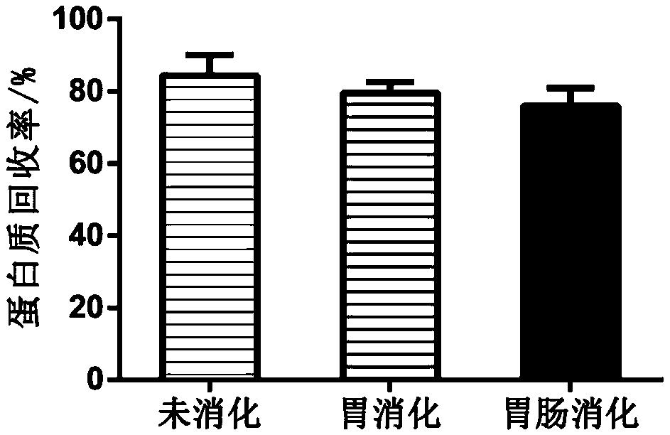 Method for preparing antioxidant tripeptide from rice polypeptide and application