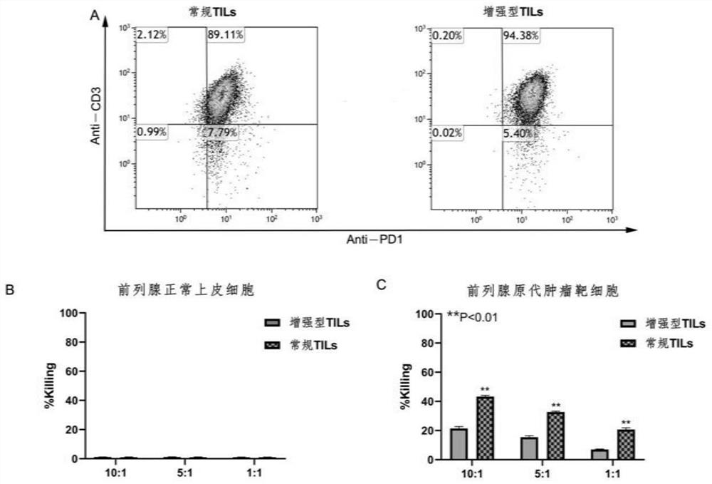 Preparation method of tumor-enhanced tumor-infiltrating lymphocytes