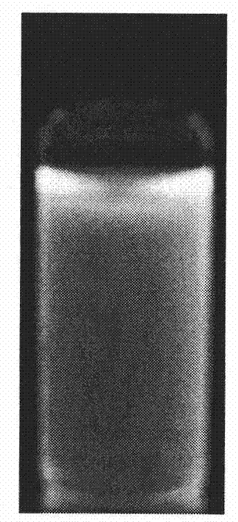 Method for synthesizing water-soluble Pt: ZnSe(S) alloyed nanometer crystal by using hydro-thermal method