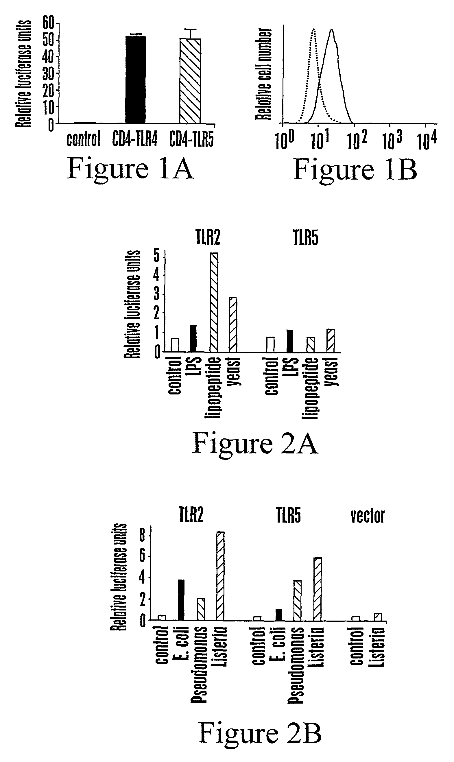 Toll-like receptor 5 ligands and methods of use