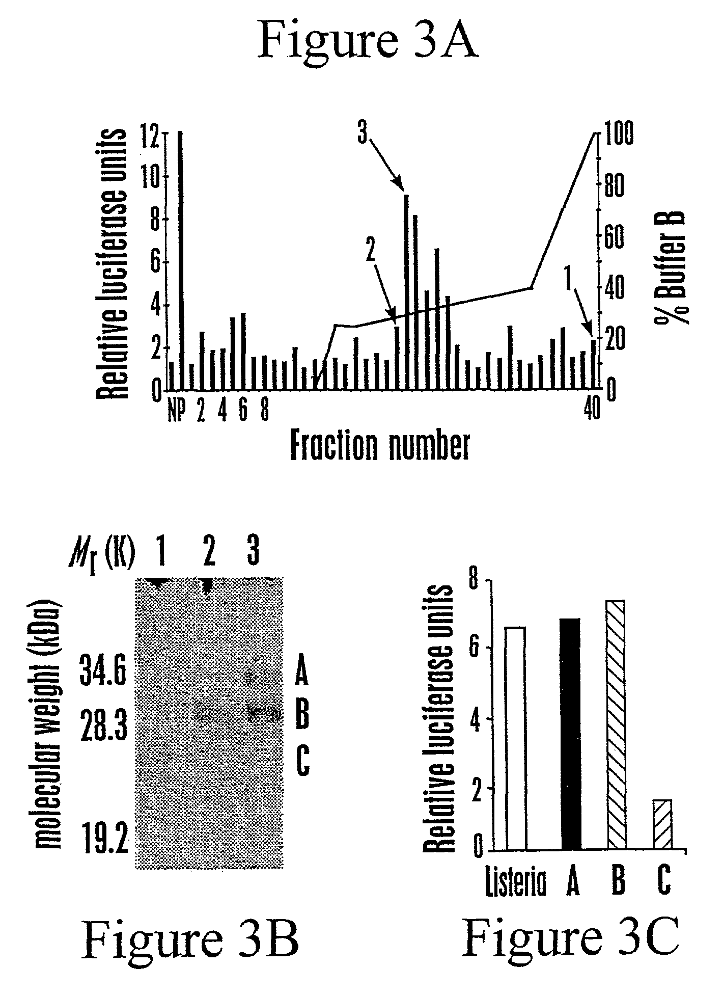 Toll-like receptor 5 ligands and methods of use