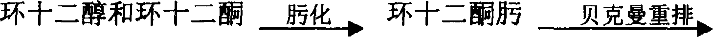 Long carbon chain nylon hot melt glue and its synthesis method