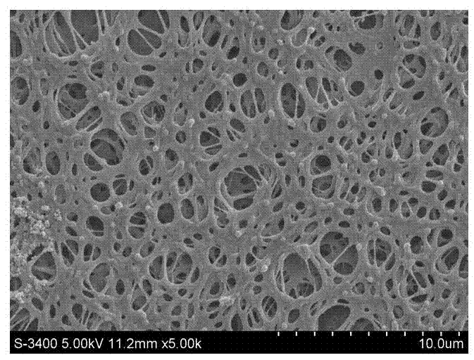 Method for modifying polyether-ether-ketone surface