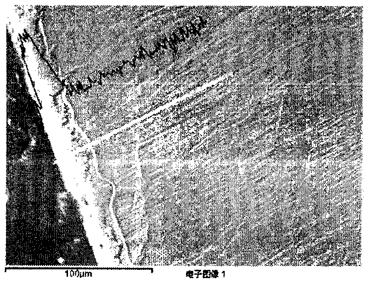 Nitriding catalyst