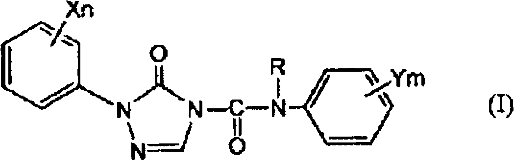 Preparation method of 1-substituted-4-carbamoyl-1,2,4-triazol-5-one derivatives