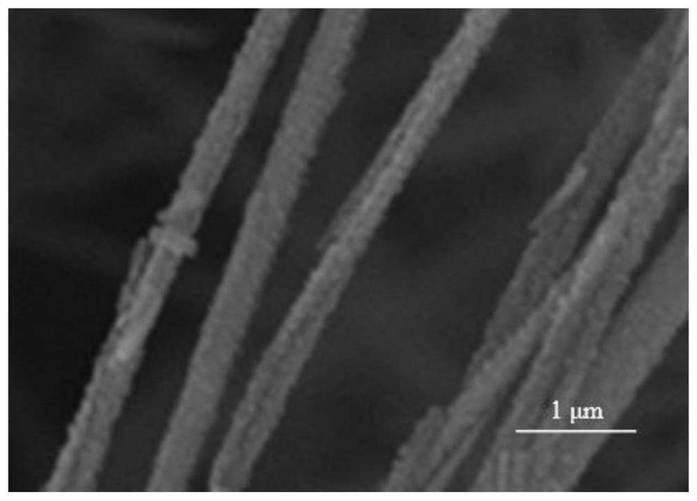 Hollow negative electrode material and preparation method thereof and lithium ion battery containing hollow negative electrode material