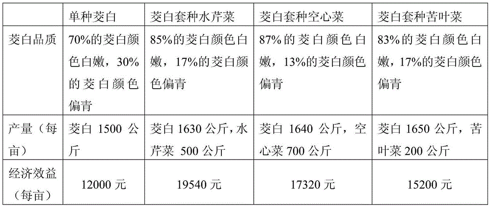 Interplanting method of water bamboo and aquatic vegetables