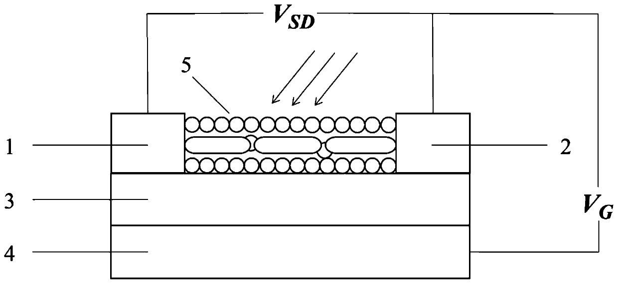 Gold nanorod-lead sulfide quantum dot photodetector and preparation method thereof