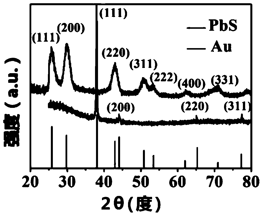 Gold nanorod-lead sulfide quantum dot photodetector and preparation method thereof