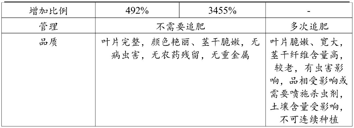 Leaf beet plant factory cultivation method