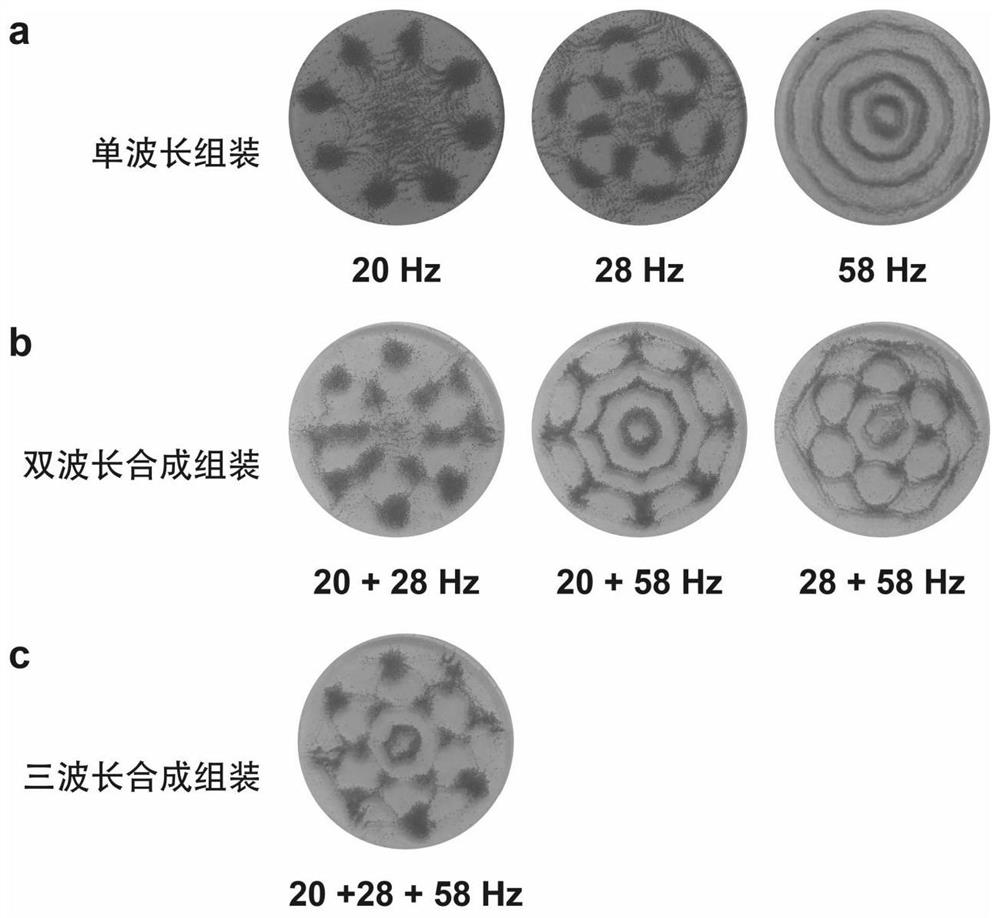 Cell assembly method for Faraday wave multi-wavelength synthesis and application