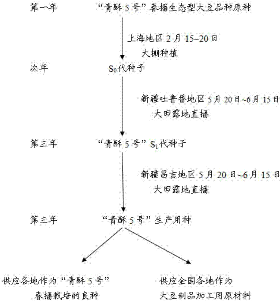 Seed breeding method for keeping spring sowing ecotype soybean variety seed nature stability