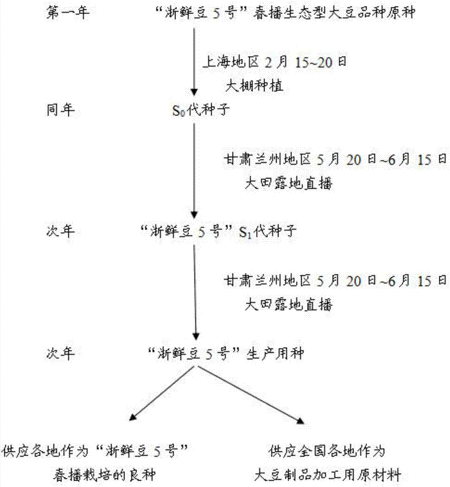 Seed breeding method for keeping spring sowing ecotype soybean variety seed nature stability