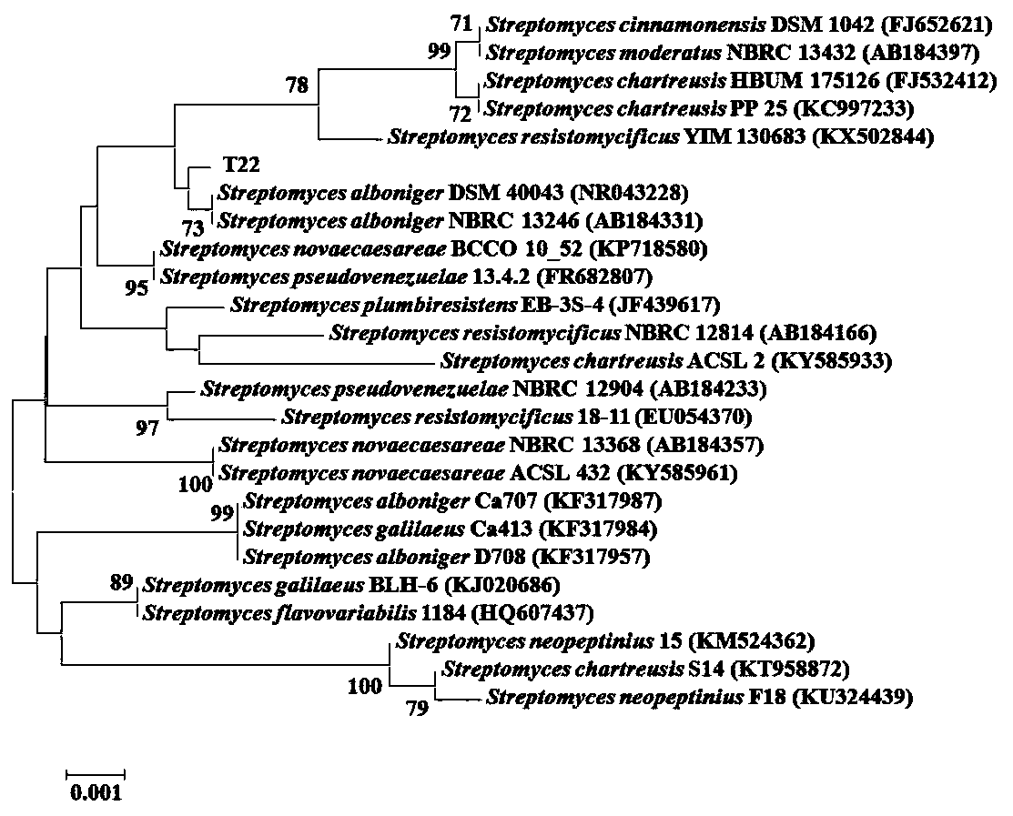 Plant pathogen inhibitor and strain involved therein and application of plant pathogen inhibitor