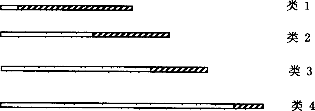 Light burst exchange network edge node structure and realizing method