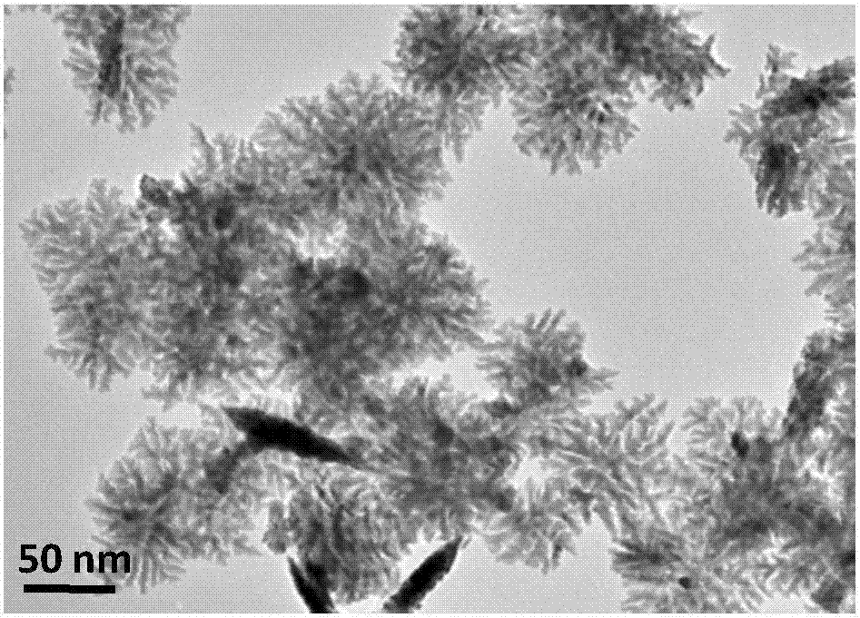 Preparation method of polyethyleneimine functional multi-branched nanometer triangular Pt catalyst