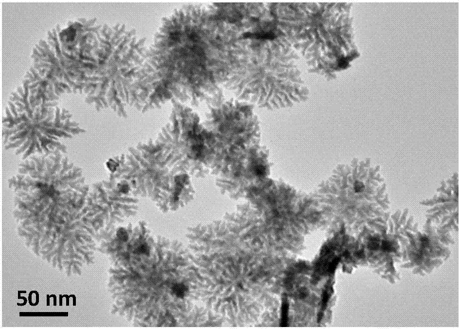 Preparation method of polyethyleneimine functional multi-branched nanometer triangular Pt catalyst