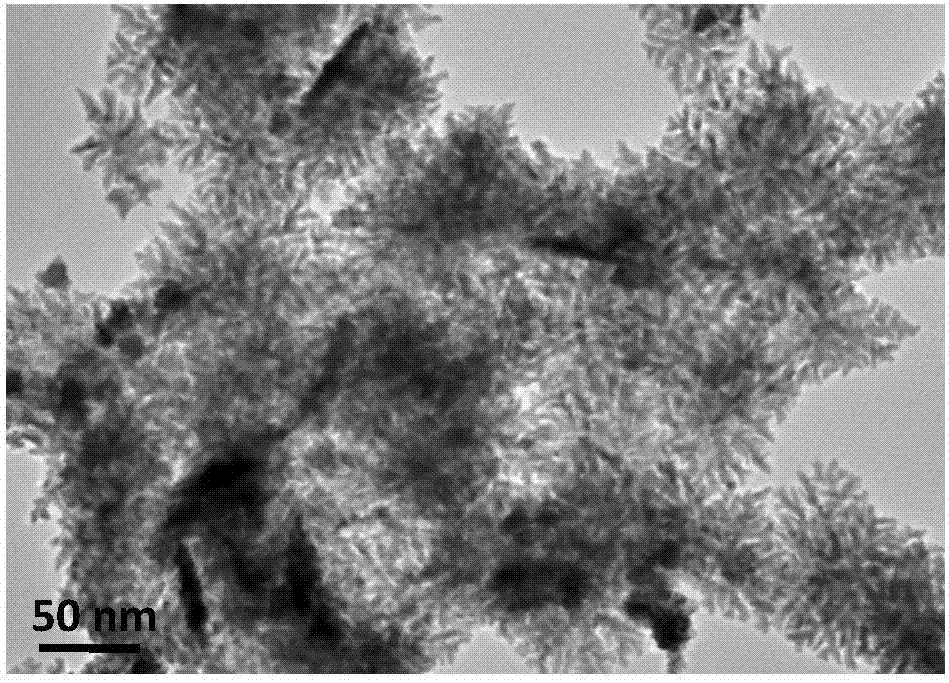 Preparation method of polyethyleneimine functional multi-branched nanometer triangular Pt catalyst