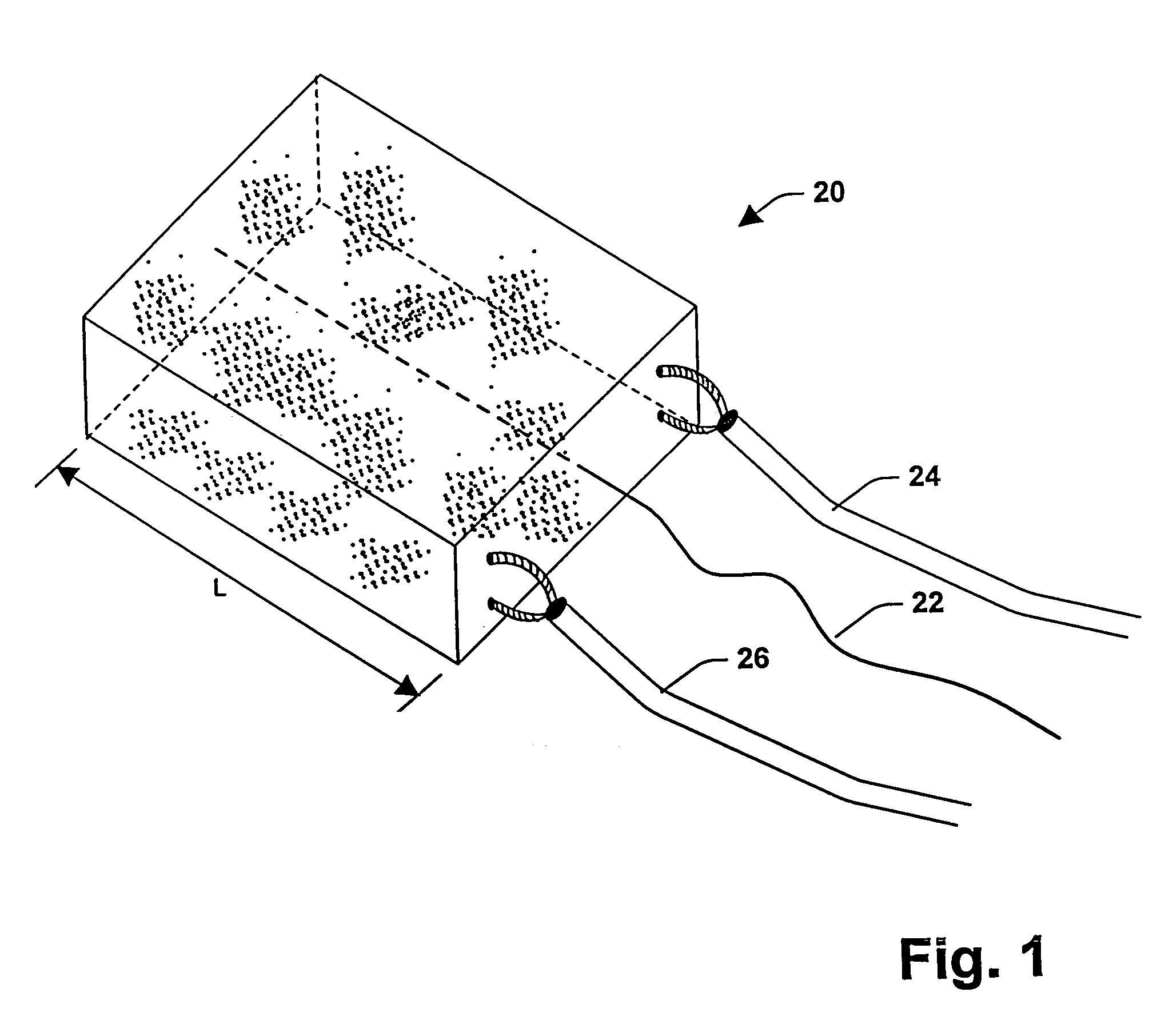 System for monitoring bearing wear