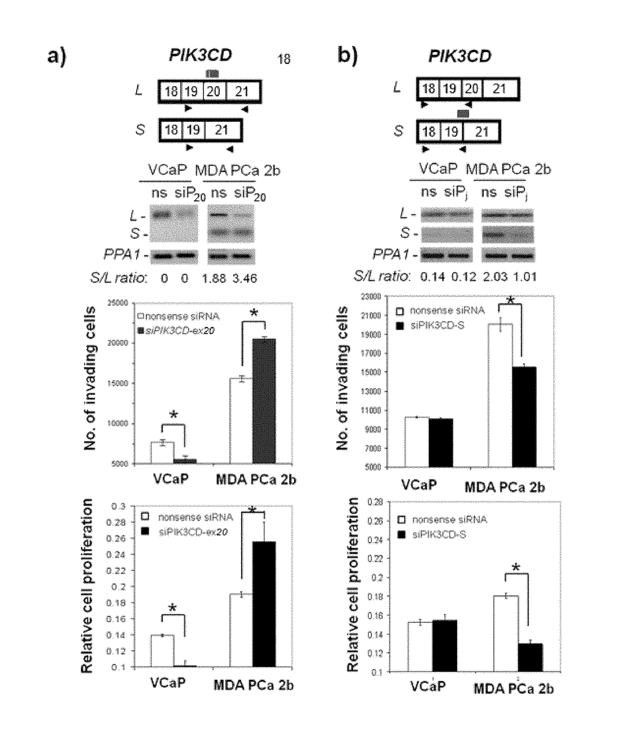 Companion diagnostics for cancer and screening methods to identify companion diagnostics for cancer based on splicing variants