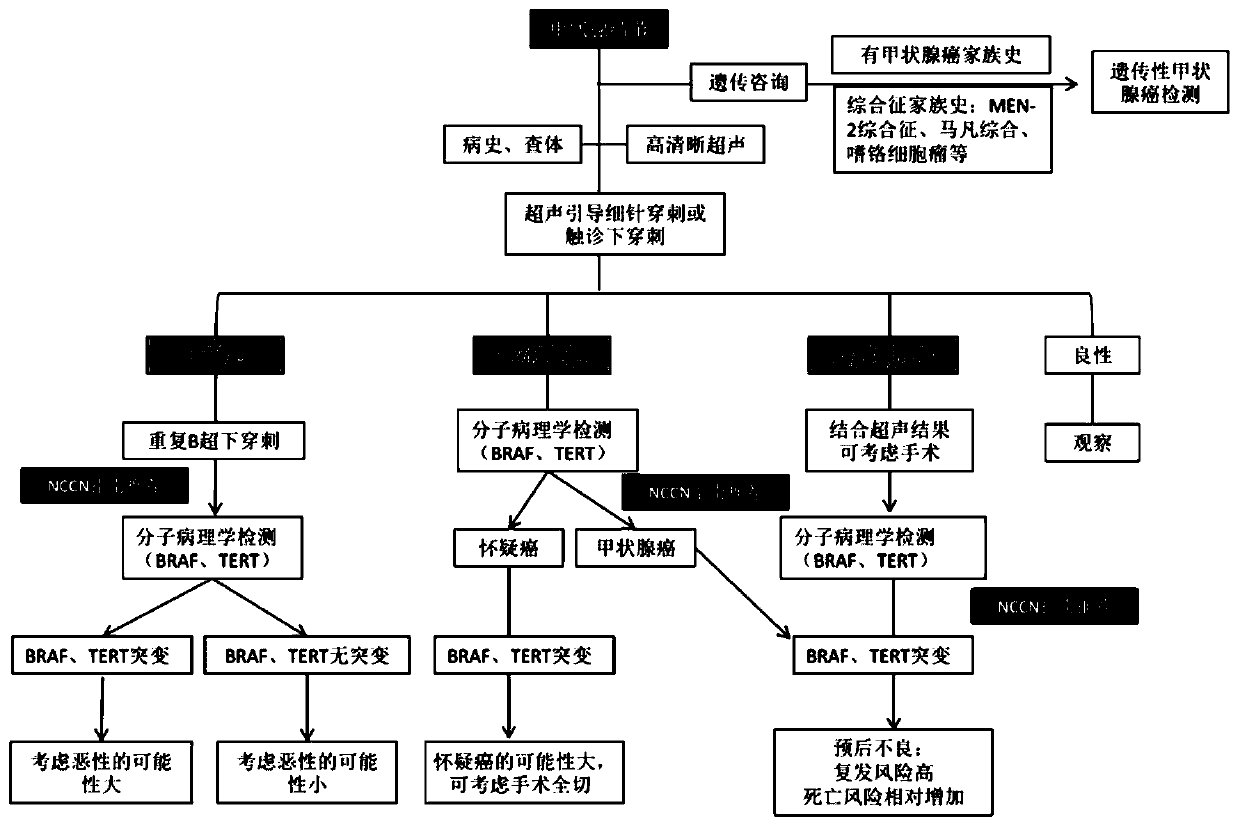 A group of thyroid cancer markers and their applications