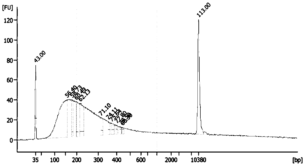 A group of thyroid cancer markers and their applications