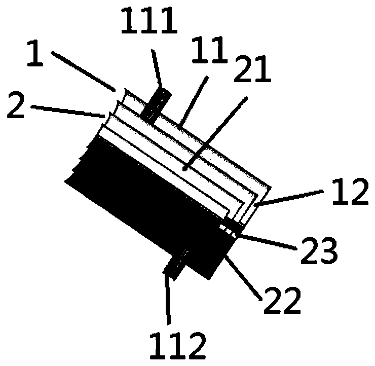 Plasma generating device for treating skin diseases