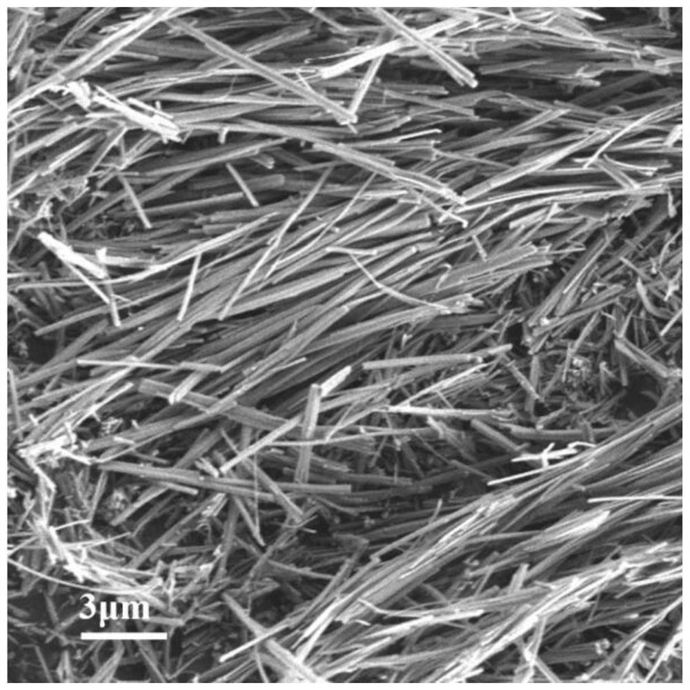 Tin-based organic metal framework material, preparation method thereof and application of tin-based organic metal framework material in lithium ion battery negative electrode material