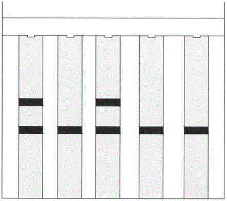 Colloidal gold immunochromatography five-joint diagnostic reagent kit for salmonella infection