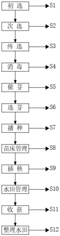 Method for controlling diseases and insect pests in rice planting process