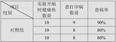 Feed additive for preventing stigmatosis of Siamese fighting fish and preparation method thereof