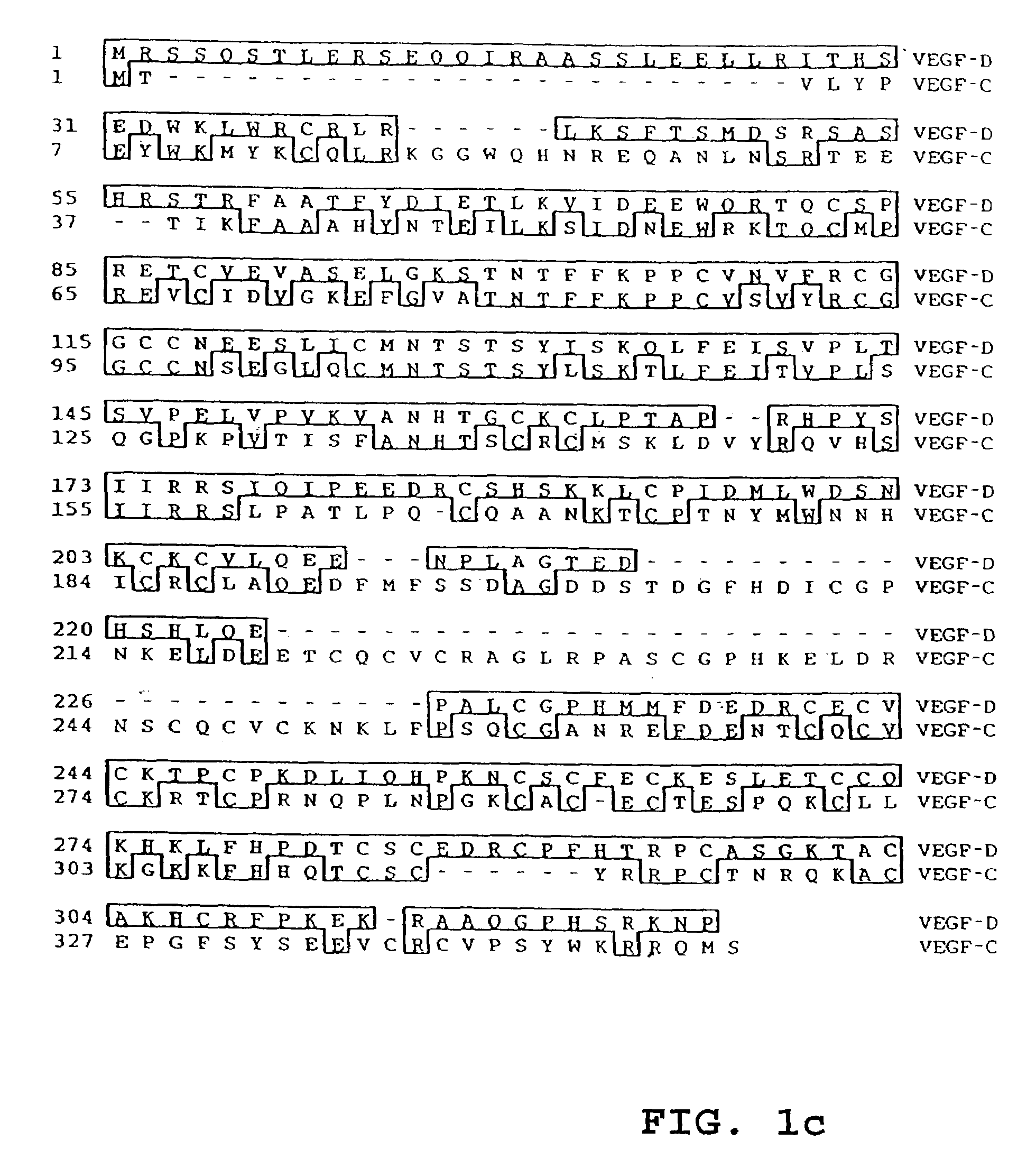 Vascular endothelial growth factor D (VEGF-D) antibodies and vectors, and methods of use