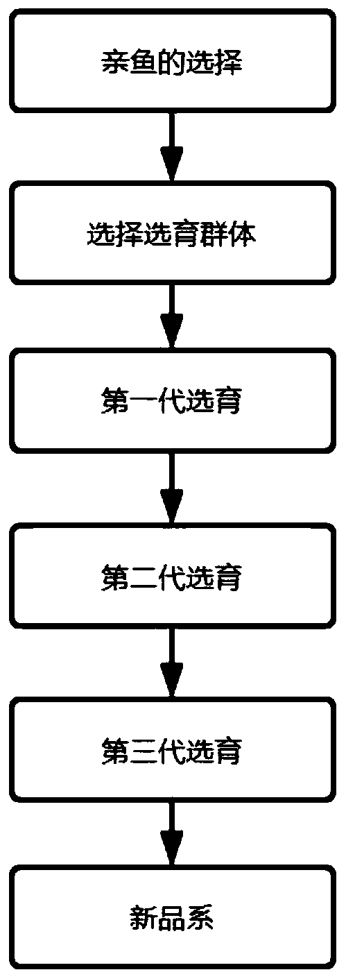 Breeding method of lake culture strain