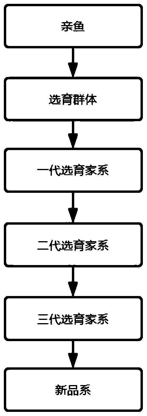 Breeding method of lake culture strain