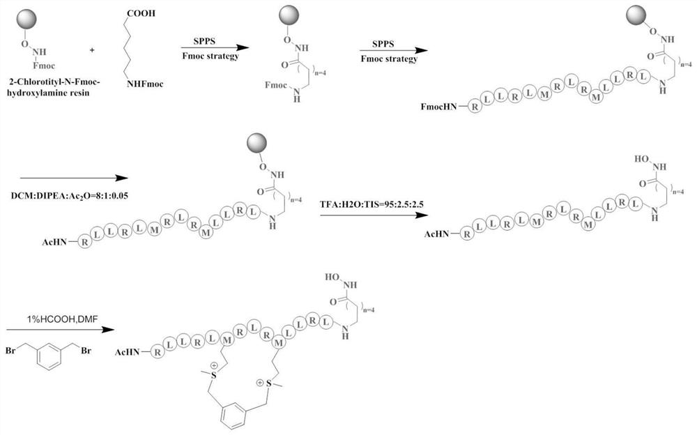 Sulfonium salt-based stable HDAC-targeting polypeptide drug conjugate and application thereof