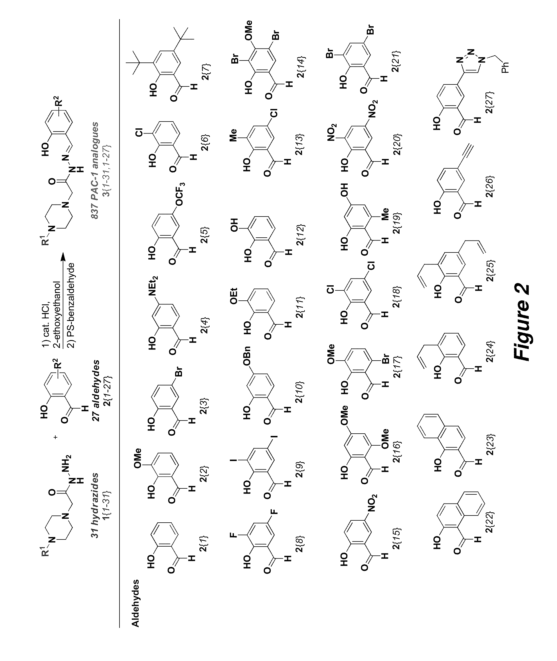 Procaspase-activating compounds and compositions