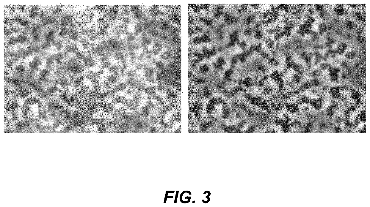 Defined three dimensional microenvironment for cell culture