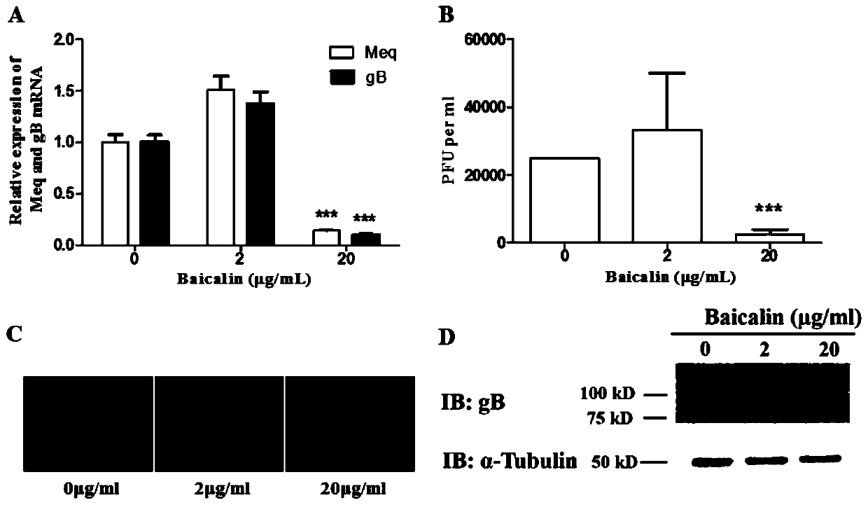 Application of baicalin in preparation of medicine for treating Marek's disease of chicken