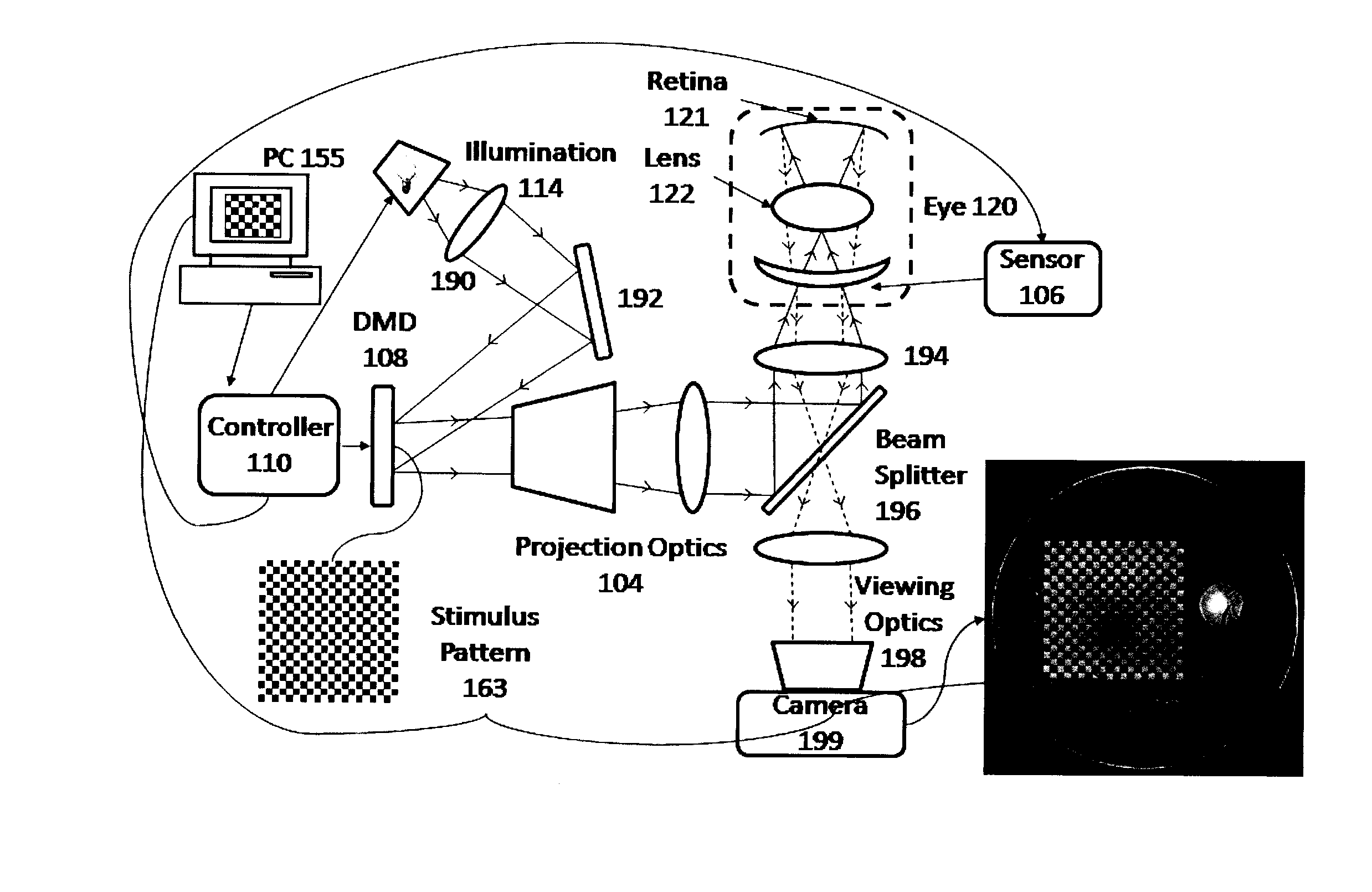 System and method for assessing retinal functionality