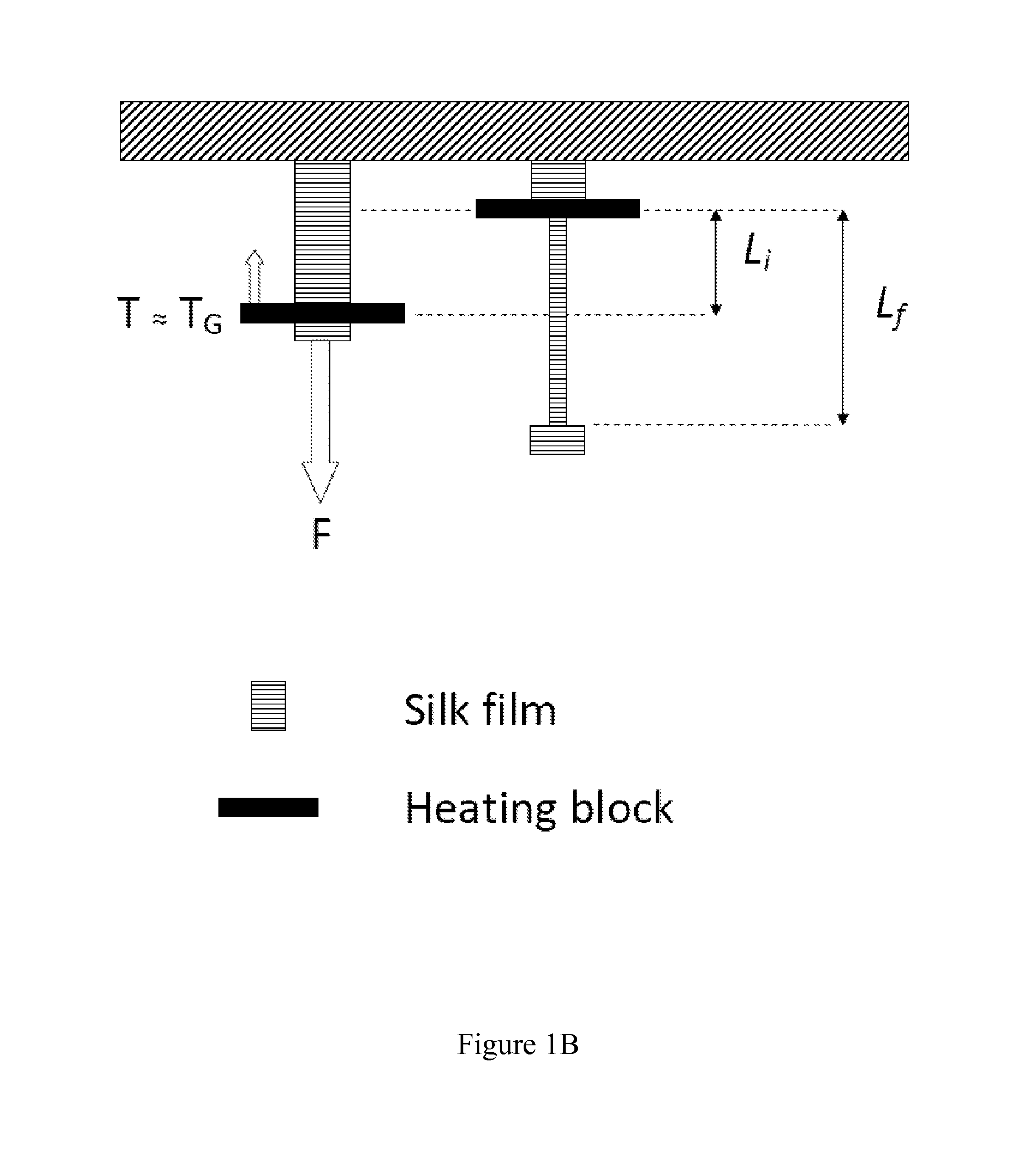 Silk-based piezoelectric materials