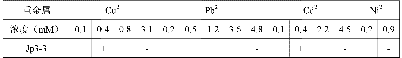 Endophytic bacteria capable of producing ACCD, its soil renovation bacterium agent and its application