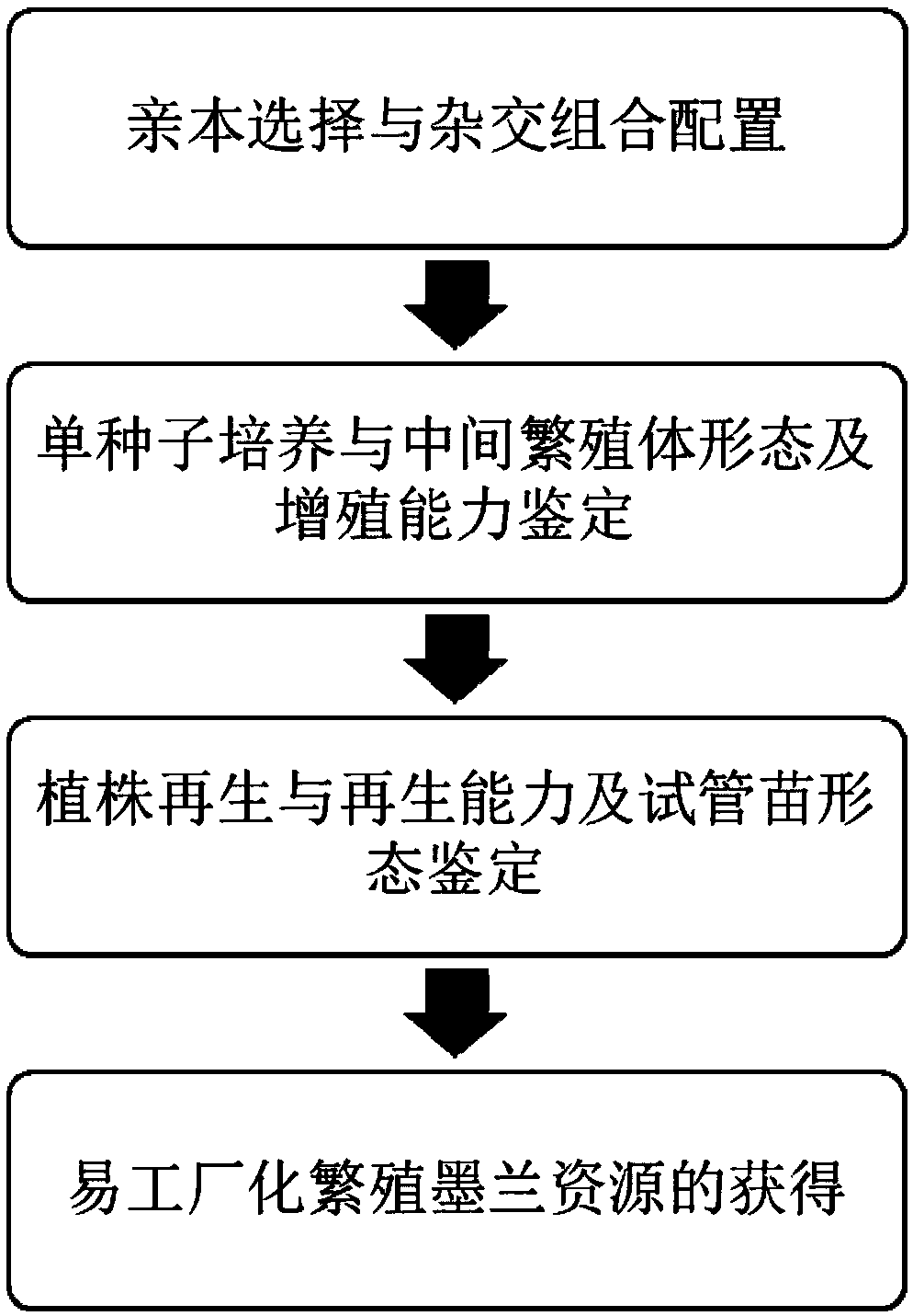 Method for creating easily-industrialized breeding Cymbidium sinense resources