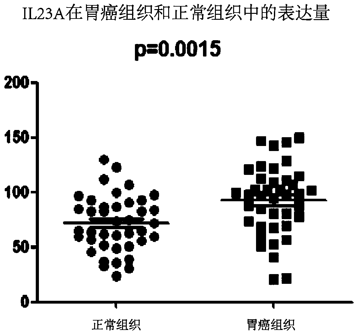 Biomarker for gastric cancer diagnosis and prognosis evaluation, application of biomarker and detection kit